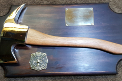 AXCER001