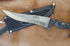 SPECF010